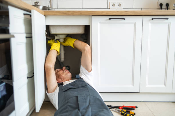 Best Same-Day Plumbing Service  in Sonoma State University, CA